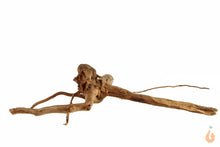 Lade das Bild in den Galerie-Viewer, Moorwurzel Nr.152 | 17x5x19cm (BxHxT)