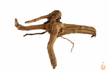 Lade das Bild in den Galerie-Viewer, Moorwurzel Nr.152 | 17x5x19cm (BxHxT)