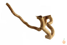 Lade das Bild in den Galerie-Viewer, Moorwurzel Nr.153 | 19x8x13cm (BxHxT)