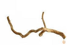 Lade das Bild in den Galerie-Viewer, Moorwurzel Nr.153 | 19x8x13cm (BxHxT)