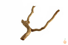 Lade das Bild in den Galerie-Viewer, Moorwurzel Nr.153 | 19x8x13cm (BxHxT)