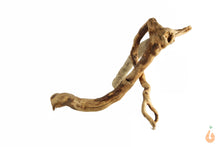 Lade das Bild in den Galerie-Viewer, Moorwurzel Nr.154 | 12x8x12cm (BxHxT)