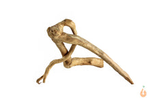 Lade das Bild in den Galerie-Viewer, Moorwurzel Nr.154 | 12x8x12cm (BxHxT)