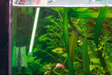 Lade das Bild in den Galerie-Viewer, JBL Blanki Set | Kratzfreier Aquarien-Scheibenreiniger mit Stiel