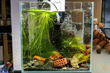 Lade das Bild in den Galerie-Viewer, Nano mini Ziegel / Ziegelstein | Backstein zum Aufbinden von Pflanzen / Moosen im Garnelenaquarium