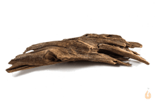 Lade das Bild in den Galerie-Viewer, Wurzel-Birnes Überraschungs Driftwood für das Aquarium / Aquascape