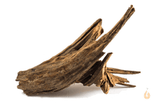 Lade das Bild in den Galerie-Viewer, Wurzel-Birnes Überraschungs Driftwood für das Aquarium / Aquascape