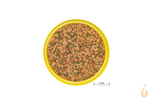 Lade das Bild in den Galerie-Viewer, Futter Granulat JBL PRONOVO BEL GRANO sJBL Futter PRONOVO BEL GRANO S | Feines Granulat Hauptfutter | Fische + Krebse + Krabben + Garnelen + Schnecken