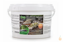 Lade das Bild in den Galerie-Viewer, SaltyShrimp - Bee Shrimp Mineral GH+ | Aufhärtesalz