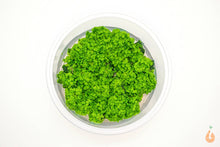 Lade das Bild in den Galerie-Viewer, Schwimmlebermoos | Ricciocarpos natans - Rarität | In Vitro Schwimmpflanze XL Becher