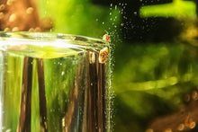 Lade das Bild in den Galerie-Viewer, Söchting Oxydator Mini | Aquarium Sauerstoffversorgung im Garnelen Aquarium