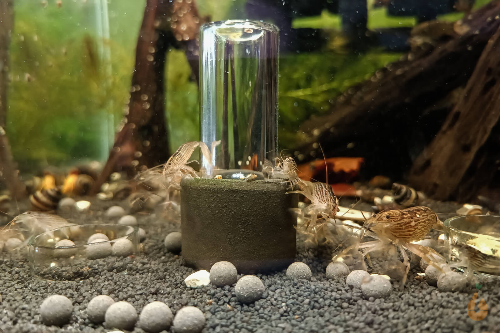 Söchting Oxydator Mini