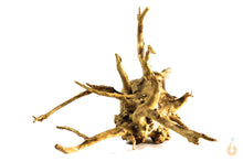 Lade das Bild in den Galerie-Viewer, Wurzel-Birnes Überraschungs Spiderwood für das Aquarium