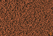 Lade das Bild in den Galerie-Viewer, Tropical Shrimp Sticks / Futtersticks | Hauptfutter für Wirbellose