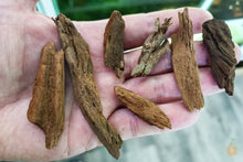 Lade das Bild in den Galerie-Viewer, Wurzel-Birnes Überraschungs Driftwood | 2-8cm (mini) für das Nano Aquarium