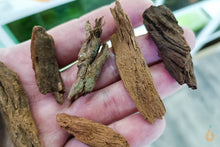 Lade das Bild in den Galerie-Viewer, Wurzel-Birnes Überraschungs Driftwood | 2-8cm (mini) für das Nanoaquarium