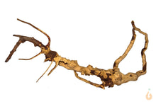 Lade das Bild in den Galerie-Viewer, Wurzel-Birnes Überraschungs Moorwurzel für das Aquarium