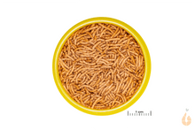 Lade das Bild in den Galerie-Viewer, JBL Futter PRONOVO BETTA INSECT STICK S | Aquarium Futtersticks Hauptfutter | Fische + Zwergflusskrebse + Krabben + Garnelen + Schnecken