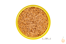 Lade das Bild in den Galerie-Viewer, JBL Futter PRONOVO BETTA GRANO S | Aquarium Futtersticks Hauptfutter | Fische + Zwergflusskrebse + Krabben + Garnelen + Schnecken