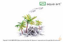 Lade das Bild in den Galerie-Viewer, Palmenmoos - Climacium japonicum | In Vitro Moos Rairtät | Wabi Kusa, Paludarium, Aqua Terrarium