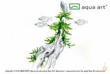 Lade das Bild in den Galerie-Viewer, Spiky-Moos | Vesicularia 'Spiky' | In Vitro Aquariummoos