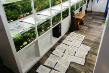 Lade das Bild in den Galerie-Viewer, Aqua Birne Adventskalender / Weihnachtskalender zum selber basteln | 24+1 tolle Überraschungen