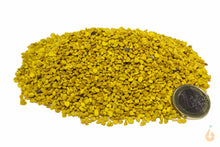 Lade das Bild in den Galerie-Viewer, Aqua Birne - Premium Blütenpollen | Zusatzfutter für Wirbellose für Züchter