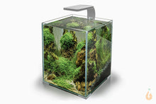 Lade das Bild in den Galerie-Viewer, Aquael Leddy Smart Day & Night Sunny LED Lampe | Aquarium Beleuchtung auf dem Nano Aquarium