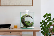 Lade das Bild in den Galerie-Viewer, Aquael Shrimp Set Day&Night | Nano Aquarium Komplett-Set im Wohnzimmer am Tag