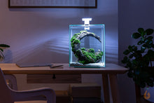 Lade das Bild in den Galerie-Viewer, Aquael Shrimp Set Day&Night | Nano Aquarium Komplett-Set im Wohnzimmer bei Nacht