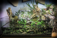 Lade das Bild in den Galerie-Viewer, Drachenstein - Ohko Stein Bachlauf Paludarium