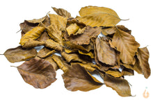 Lade das Bild in den Galerie-Viewer, Buchenblätter / Buchenlaub braun getrocknet | Premium Qualität