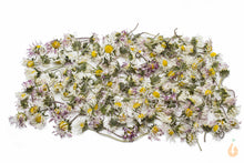 Lade das Bild in den Galerie-Viewer, Gänseblümchen Blüten getrocknet | Premium Qualität