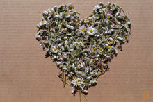 Lade das Bild in den Galerie-Viewer, Gänseblümchen Blüten getrocknet | Premium Qualität