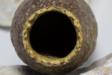 Lade das Bild in den Galerie-Viewer, Hornkapsel / Savuschote | Natürliche Höhle / Unterschlupf