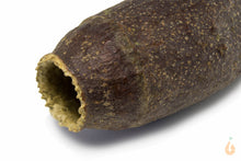Lade das Bild in den Galerie-Viewer, Hornkapsel / Savuschote | Natürliche Höhle / Unterschlupf
