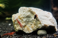 Lade das Bild in den Galerie-Viewer, Weißer Kalkstein | 1kg | Härtet das Wasser auf im Nano Aquarium