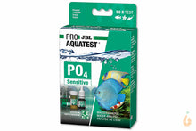 Lade das Bild in den Galerie-Viewer, JBL PROAQUATEST PO4 / Phosphat Sensitive Test | Aquarium & Teich