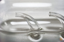 Lade das Bild in den Galerie-Viewer, Planarienfalle aus Glas mit 3 Eingängen | Falle für Planarien | Premium Qualität