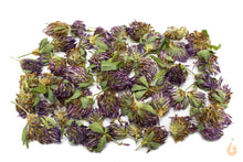 Lade das Bild in den Galerie-Viewer, Rotklee Blüten getrocknet | Premium Qualität