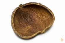 Lade das Bild in den Galerie-Viewer, Samenkapsel / Schote | Natürliche Deko / Futterschüssel