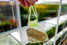 Lade das Bild in den Galerie-Viewer, Aqua Birne - Schlüsselanhänger | Handmade