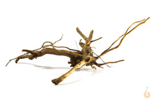 Lade das Bild in den Galerie-Viewer, Spiderwood Nr.159 | 28x10x17cm (BxHxT)