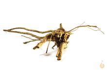 Lade das Bild in den Galerie-Viewer, Spiderwood Nr.162 | 23x7x16cm (BxHxT)