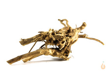 Lade das Bild in den Galerie-Viewer, Spiderwood Nr.162 | 23x7x16cm (BxHxT)