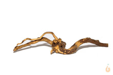 Lade das Bild in den Galerie-Viewer, Moorwurzel Nr.4 | 22x5x9cm (BxHxT)