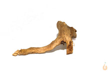 Lade das Bild in den Galerie-Viewer, Moorwurzel Nr.6 | 20x6x12cm (BxHxT)