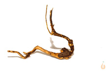 Lade das Bild in den Galerie-Viewer, Moorwurzel Nr.15 | 16x15x9cm (BxHxT)