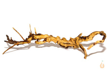 Lade das Bild in den Galerie-Viewer, Moorwurzel Nr.18 | 22x6x12cm (BxHxT)