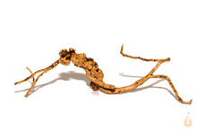 Lade das Bild in den Galerie-Viewer, Moorwurzel Nr.19 | 23x7x15cm (BxHxT)
